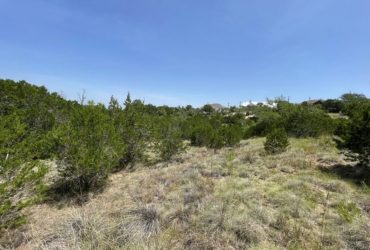 421 Bluebonnet Breeze